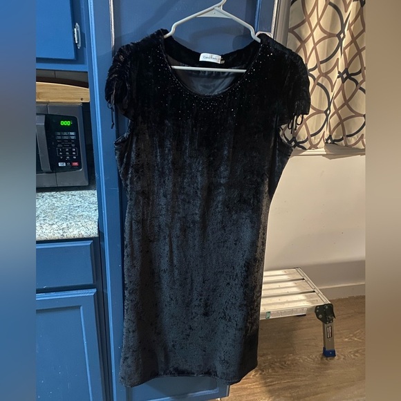 Calvin Klein Velvet Silk Blend Black Beaded Neck Short‎ Sleeve Dress Size 12 - Picture 3 of 7